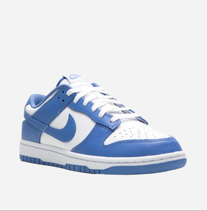 NIKE DUNK LOW POLAR BLUE