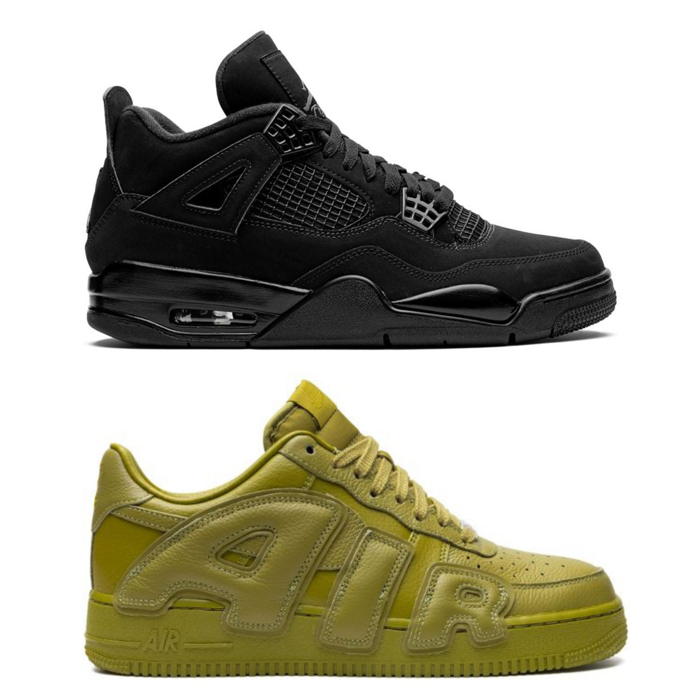 black cat x 1 force cactus jacks bundle