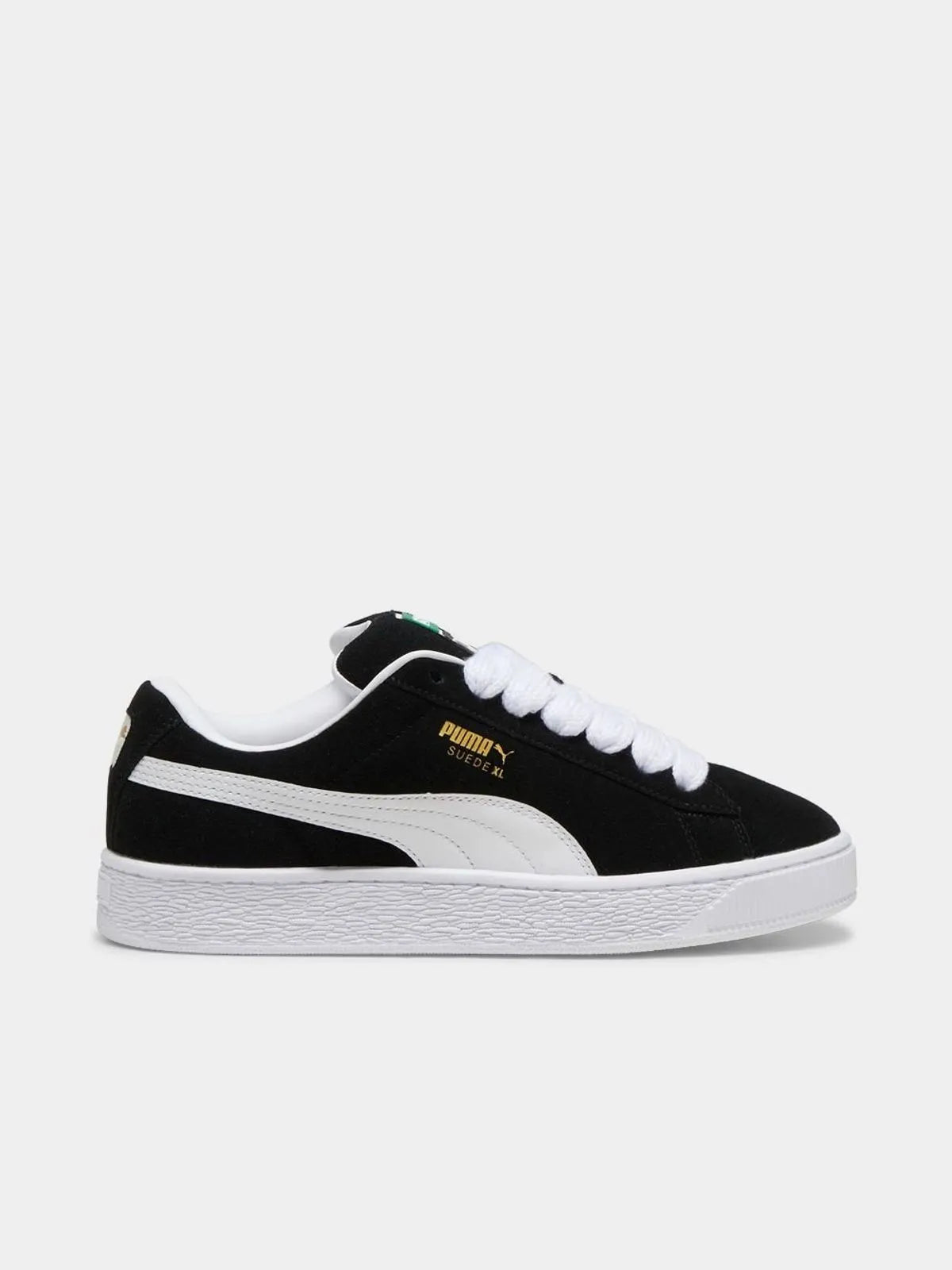 xl x dunk low