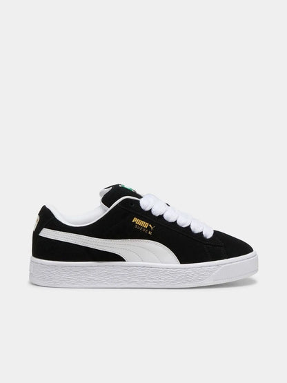 xl x dunk low